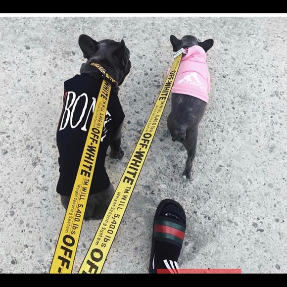 off white pet leash